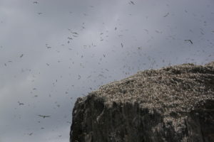 img_0808
